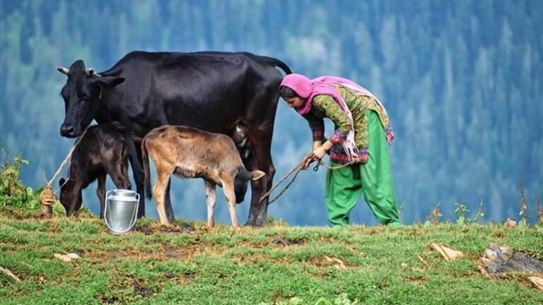 Empowering Women in India’s Dairy Sector: A Path to Inclusive Growth
