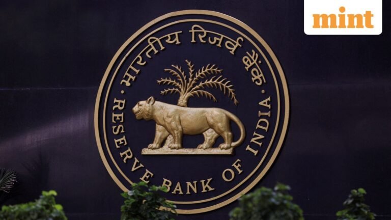 RBI Keeps Repo Rate Unchanged Amid Global Uncertainty, Attracts Foreign Capital