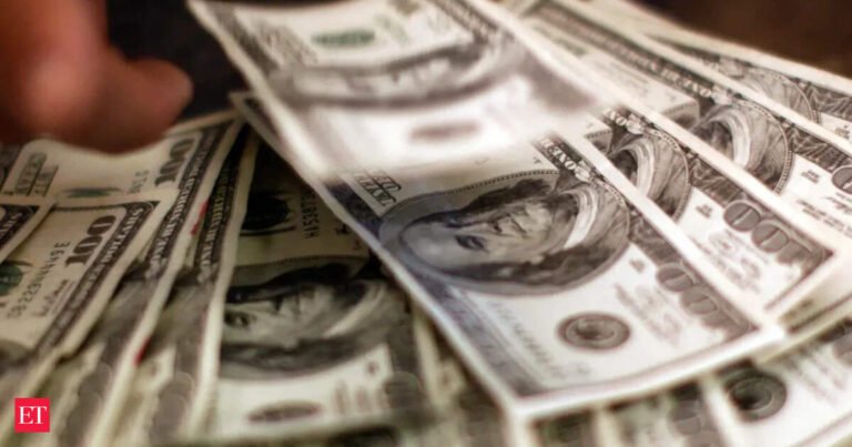 India Seeks Foreign Capital to Boost Economic Growth and Build Foreign Exchange Reserves