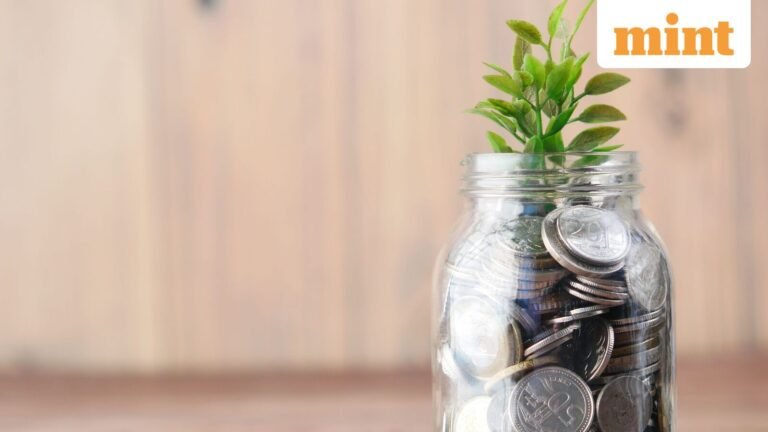 Flexi-cap Funds Outperform Nifty 500 TR Index Despite Average Investor Losses
