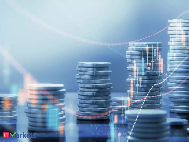 Indian Stock Market Rally: Top Performers and Key Trends